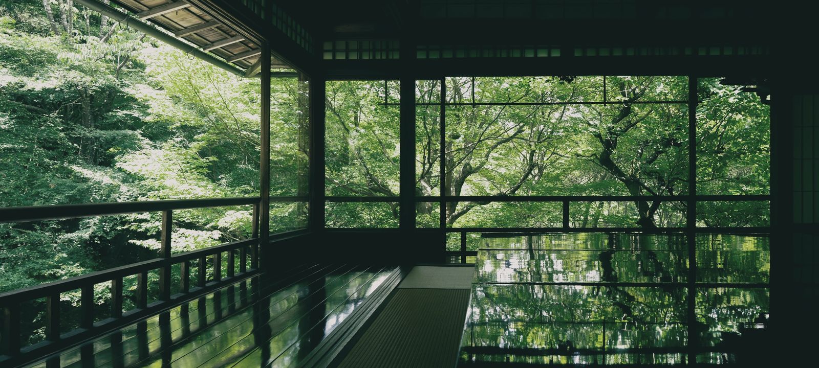 A wooden veranda opening onto trees and still water