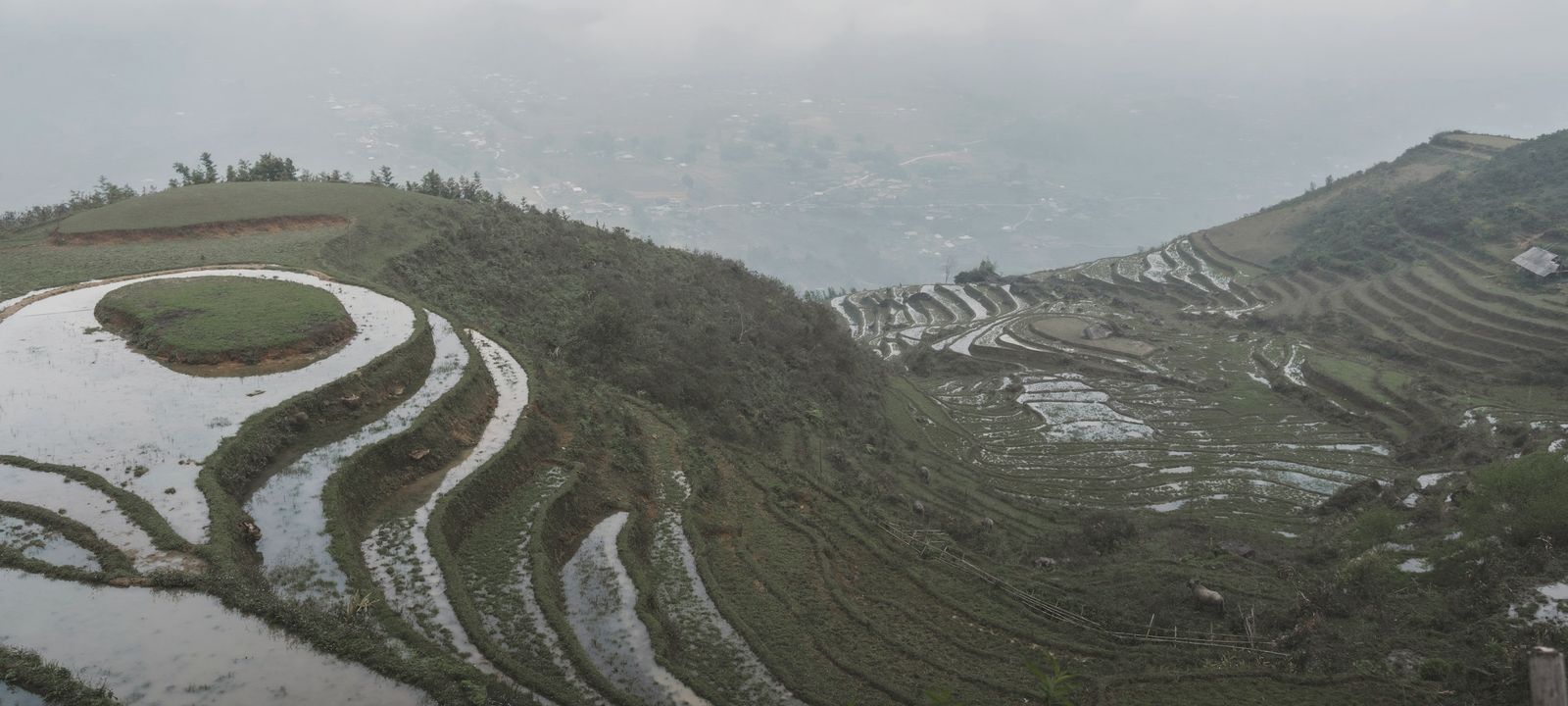 Water-filled rice terraces stepping up a hillside in mist