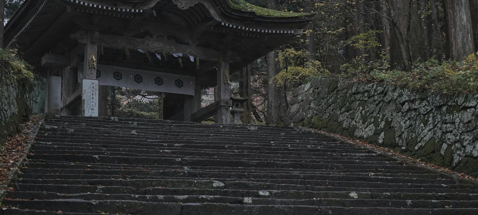 Stone steps climbing to a moss-covered temple gate